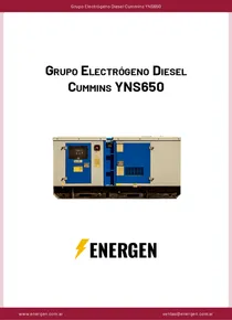 Grupo Electrógeno Diesel Cummins YNS650 - Ficha Técnica