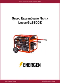 Grupo Electrógeno Nafta Logus GL6500E - Ficha Técnica