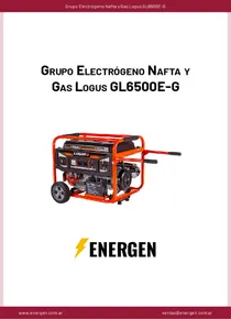 Grupo Electrógeno Nafta y Gas Logus GL6500E-G - Ficha Técnica