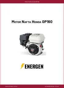 Motor Nafta Honda GP160 - Ficha Técnica