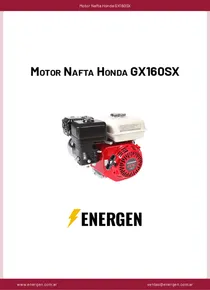 Motor Nafta Honda GX160SX - Ficha Técnica