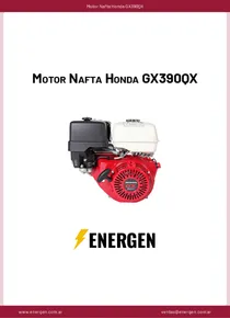 Motor Nafta Honda GX390QX - Ficha Técnica