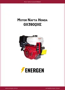 Motor Nafta Honda GX390QXE - Ficha Técnica