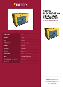 Grupo Electrógeno Diesel Niwa GDW-125-ECR - Folleto