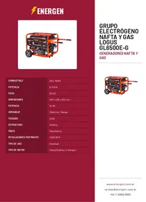 Grupo Electrógeno Nafta y Gas Logus GL6500E-G - Folleto