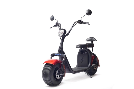 Moto Eléctrica Citycoco Scooter FX-07