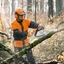 Motosierra Stihl MS260