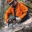 Motosierra Stihl MS462