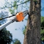 Podadora de Altura Stihl HT101