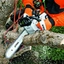 Motosierra Stihl MS201 TC-M