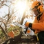 Motosierra Stihl MS193 T