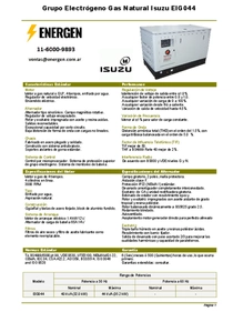 Grupo Electrógeno a Gas Isuzu EIG044 - Ficha Técnica