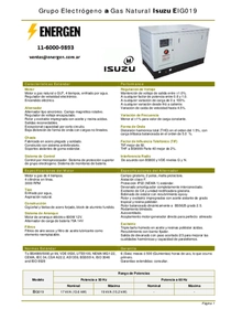 Grupo Electrógeno a Gas Isuzu EIG019 - Ficha Técnica