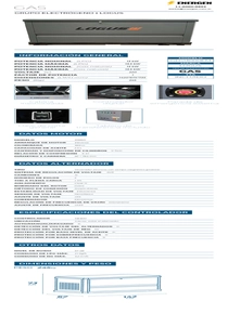 Grupo Electrógeno a Gas Logus GLG13000EM - Ficha Técnica