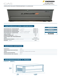 Grupo Electrógeno a Gas Logus GLG20000EM - Ficha Técnica