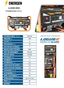 Grupo Electrógeno Nafta Logus GL3300 - Ficha Técnica