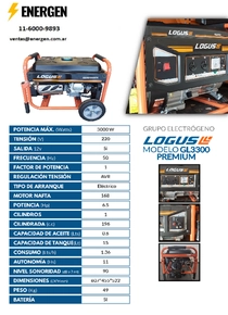 Grupo Electrógeno Nafta Logus GL3300E Premium - Ficha Técnica