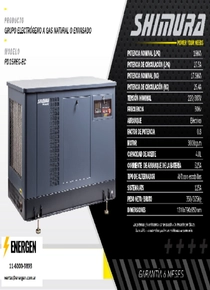 Grupo Electrógeno a Gas Shimura PD15REG-EC - Ficha Técnica