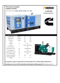 Grupo Electrógeno Diesel Cummins YNS110 - Ficha Técnica