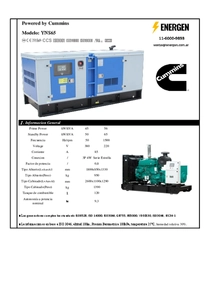 Grupo Electrógeno Diesel Cummins YNS65 - Ficha Técnica