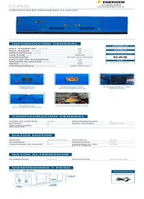 Grupo Electrógeno Diesel Logus 125BRs Gas - Ficha Técnica