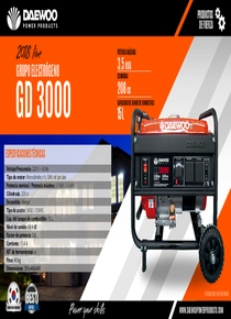 Grupo Electrógeno Nafta Daewoo GD3000 - Ficha