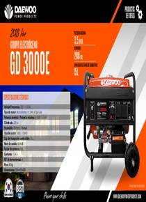 Grupo Electrógeno Nafta Daewoo GD3000E - Ficha