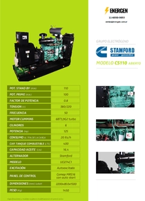 Grupo Electrógeno Diesel Cummins CS110A - Ficha Técnica