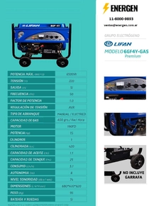 Grupo Electrógeno Nafta Lifan 6GF-4Y-Gas-Prm - Ficha Técnica