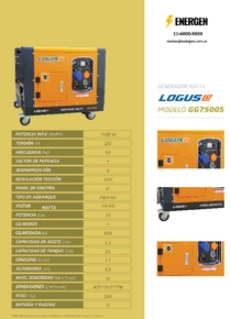 Grupo Electrógeno Nafta Logus GG7500S - Ficha técnica