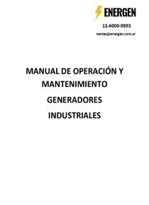 Grupo Electrógeno Diesel Cummins YNS275 - PDF