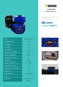 Motor Nafta Lifan 168-F-L - Ficha Técnica