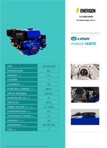 Motor Nafta Lifan 168-FD - Ficha Técnica